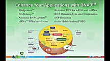 Biosynthesis - Bridged Nucleic Acids - BNA Synthesis