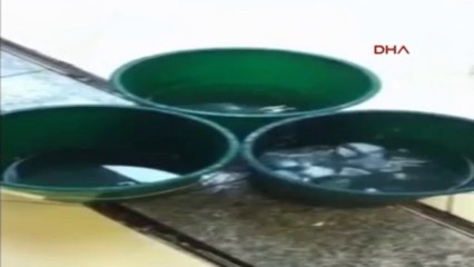 Dünyanın en büyük adliyesi su sızdırıyor