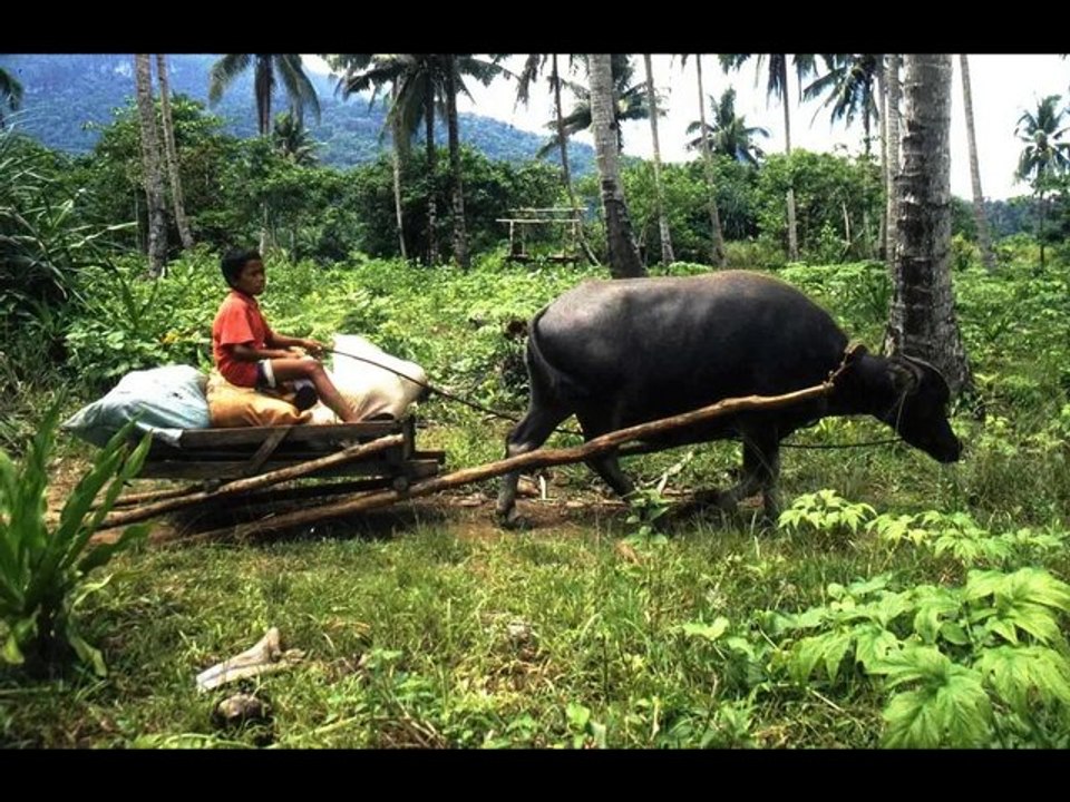 les Philippines à vélo 1: des iles