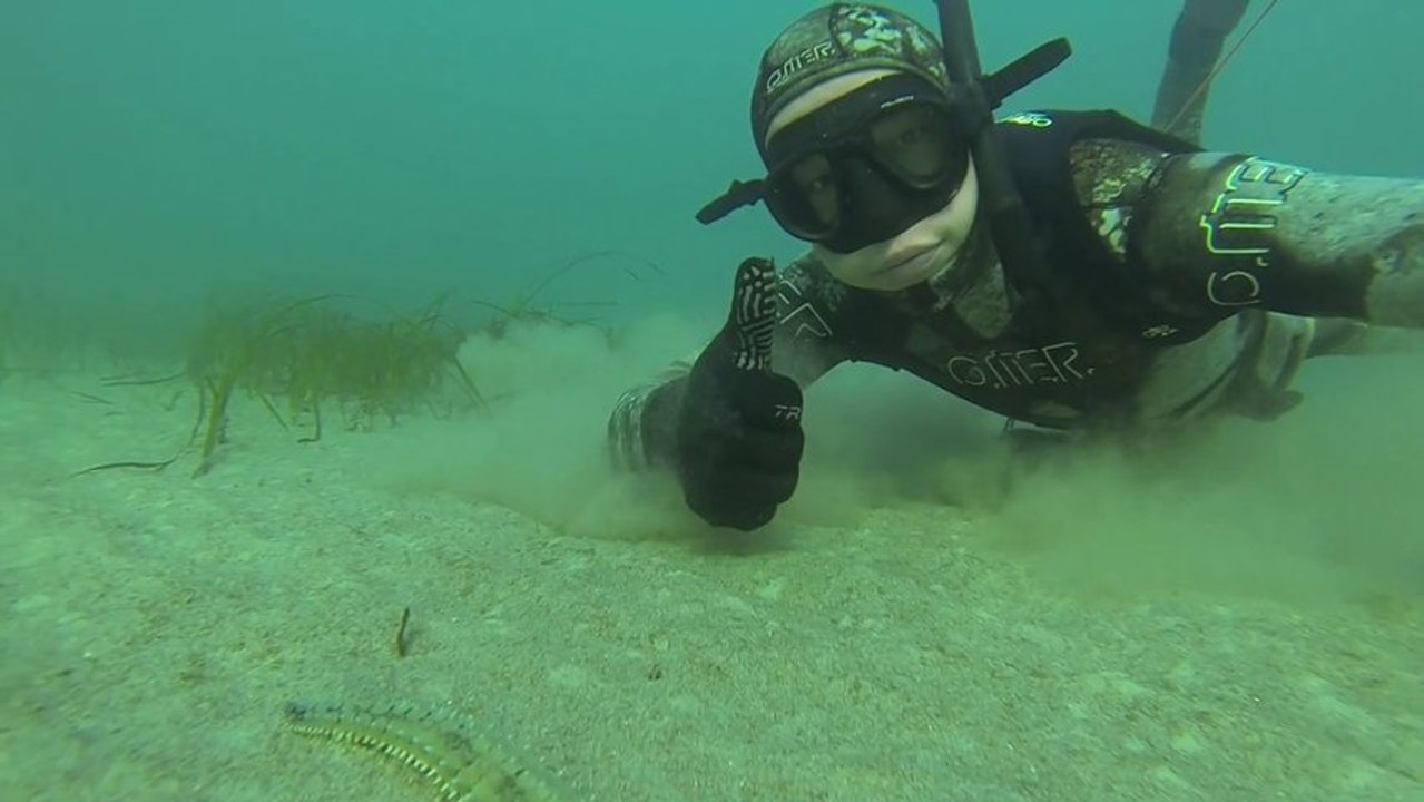 ScubaTeam - Chasse sous marine - Bretagne, Le Conquet