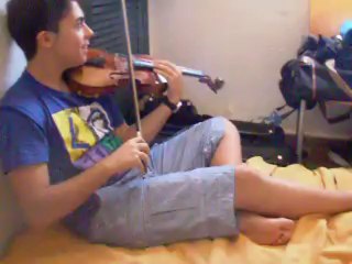 Atropellan a una gaviota - Punta Umbria - Albergue Juvenil -cursos internacionales