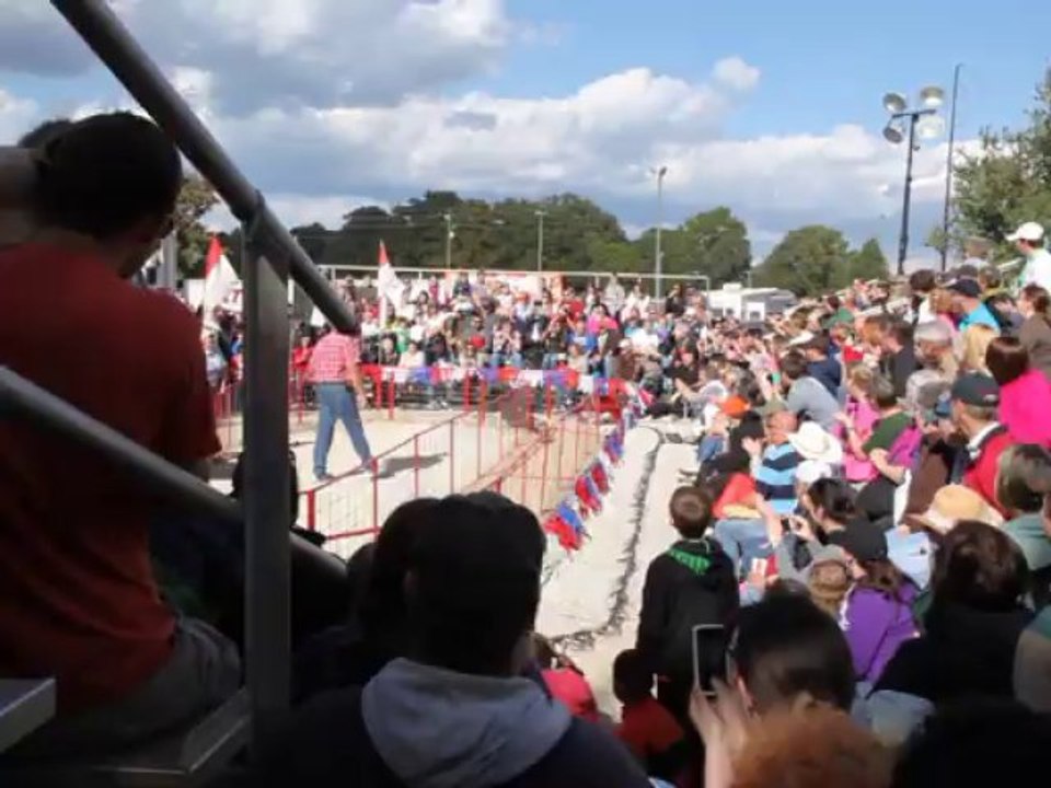 Racing Pigs