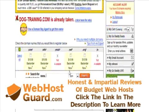 Register a domain through GoDaddy and begin hosting a website
