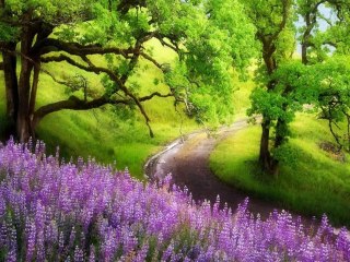 Sevim Coşkun-Ne Güzel Yakışmış Allar Ayşe'ye