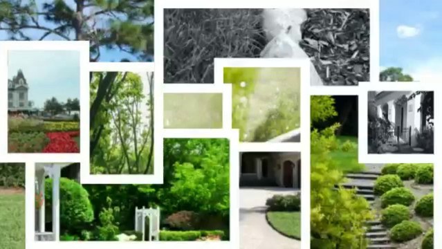 Scapes Incorporated - (817) 380-9519