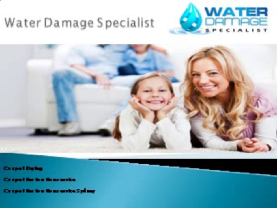 Water Damage Specialist