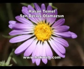 Hasan Temel - Sen Derviş Olamazsın -