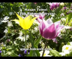 Hasan Temel - Taştı Rahmet Deryası -