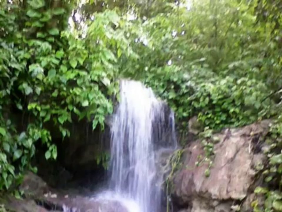 tropical -FM belfast