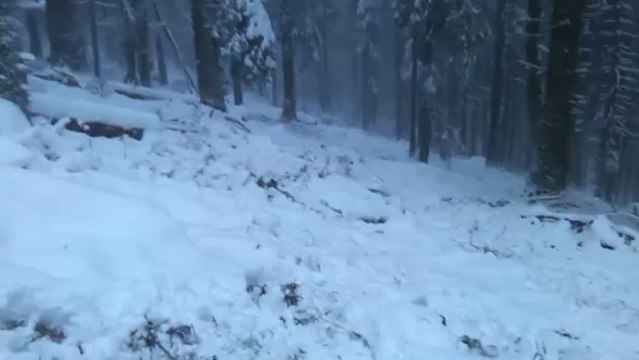 Dans la neige des Vosges (Zone naturelle de Langenfeldkoft)