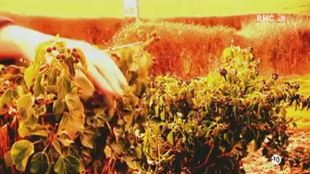 Reportage_Doc_[_Fredy_et_Rosemary_West_]