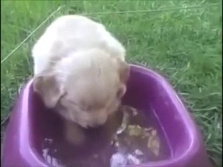 CHUYÊN MUA TIVI CŨ GIÁ CAO ĐT 0989802706