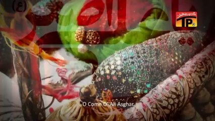 Ajao Ali Asghar, Hasnain Abbas 2013-14