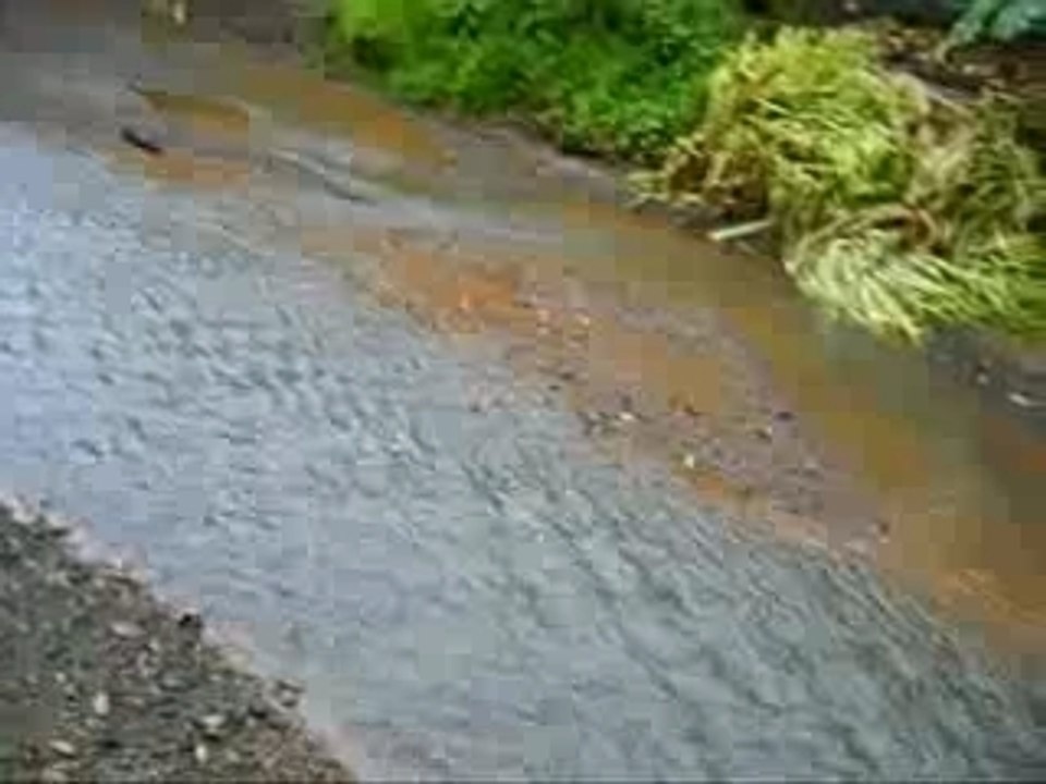 Costa Rica Zubia BahiaDrakerako bidean