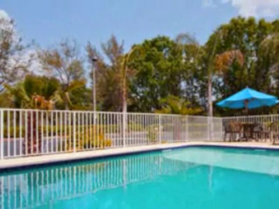 Holiday Inn wesley chapel