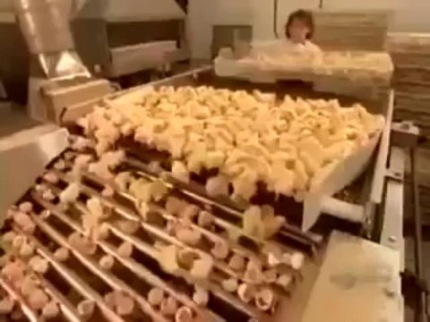 How Chicks Hatch in Hatchery – Complete Process