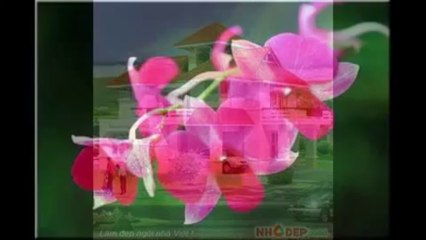 Mua bán chung cư 88 Láng Hạ