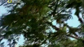 HD وثائقي - ظواهر خارقة للطبيعة- تشوباكراباس