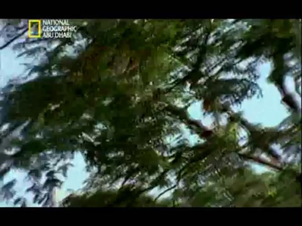 HD وثائقي - ظواهر خارقة للطبيعة- تشوباكراباس