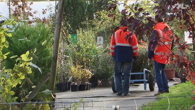 Le compostage, une démarche en faveur du développement durable