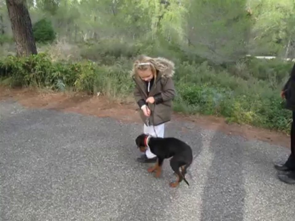 Dressage canin comportementaliste la ciotat 13600 Justine(6ans) et Izia- Hiérarchisation de l'enfant par l'éducation