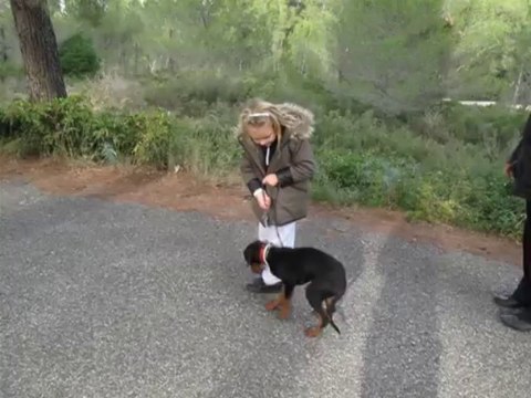 Dressage canin comportementaliste la ciotat 13600 Justine(6ans) et Izia- Hiérarchisation de l'enfant par l'éducation
