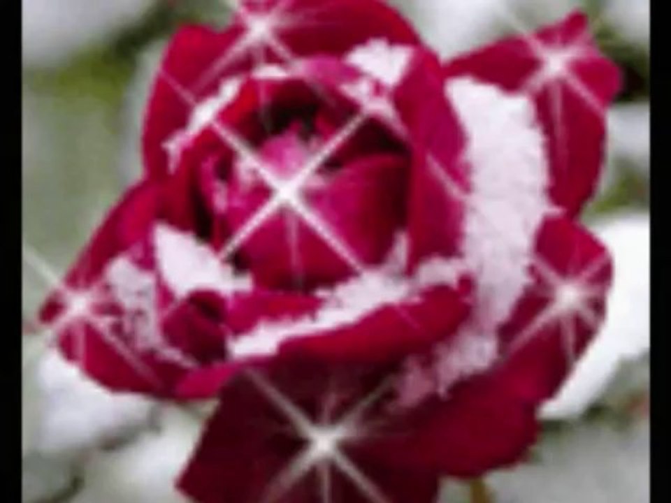 Levent Yüksel & Yildiz Usmanova - Yalan