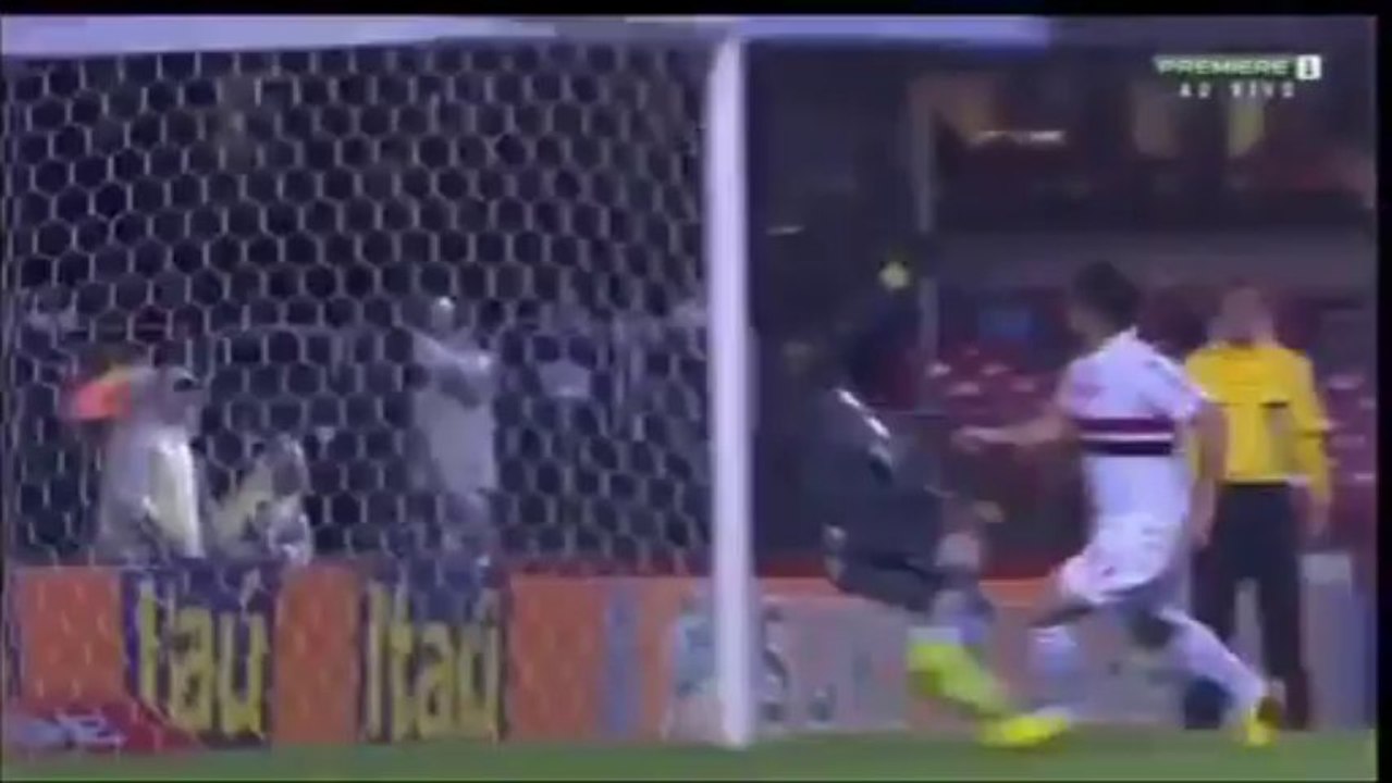 24-11-2013 - Sao Paulo 1-1 Botafogo RJ