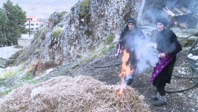 Le trafic de canabis libanais profite de la guerre en Syrie