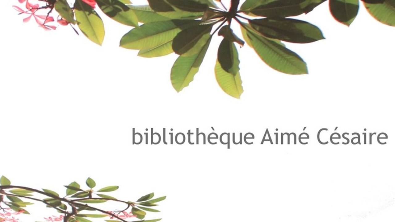 bibliothèque Aimé Césaire - Christophe Grelet