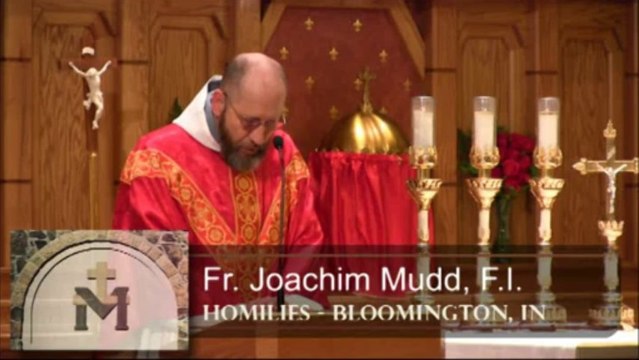 Nov 25 - Homily: St. Catherine Witness to the Faith