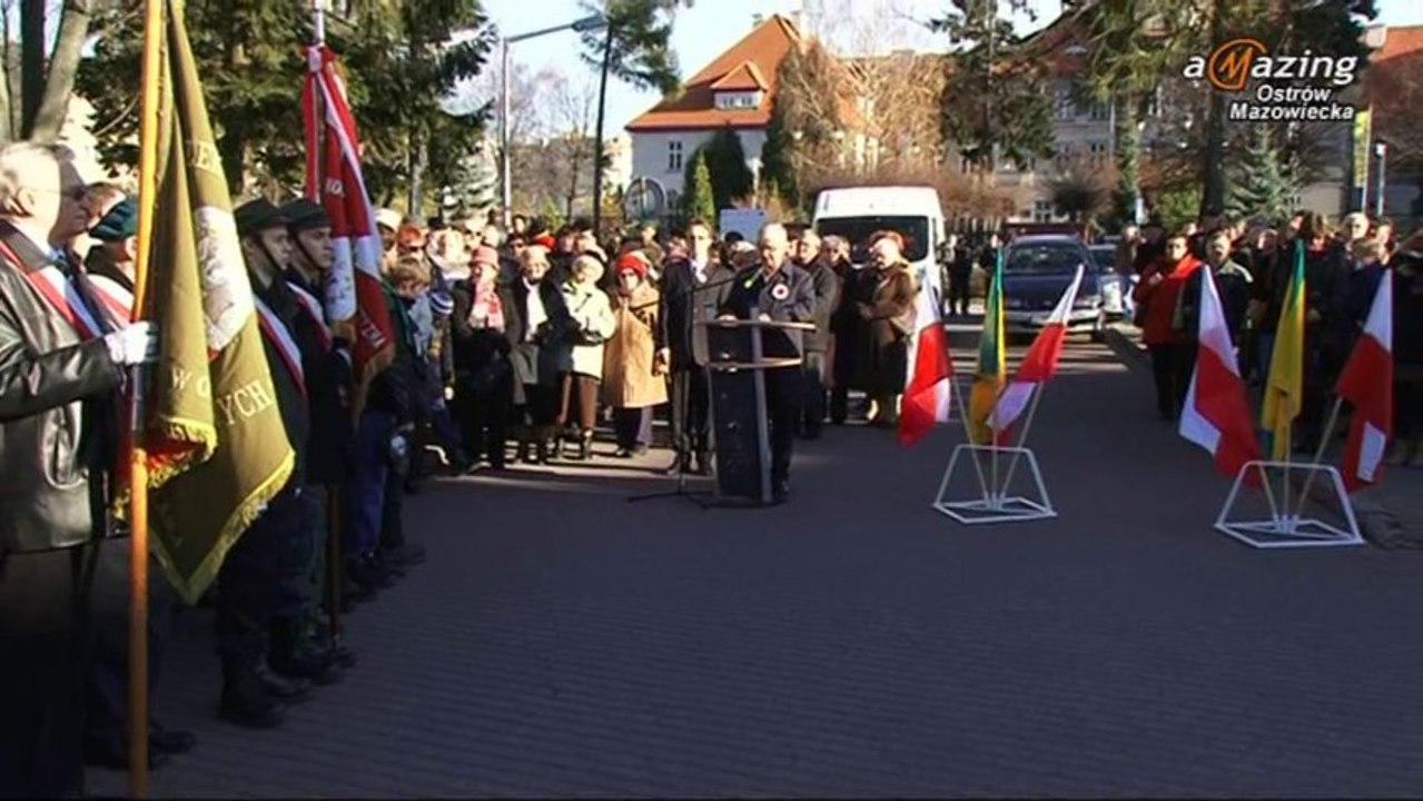 Miejskie obchody Dnia Niepodległości Ostrów Mazowiecka 2013