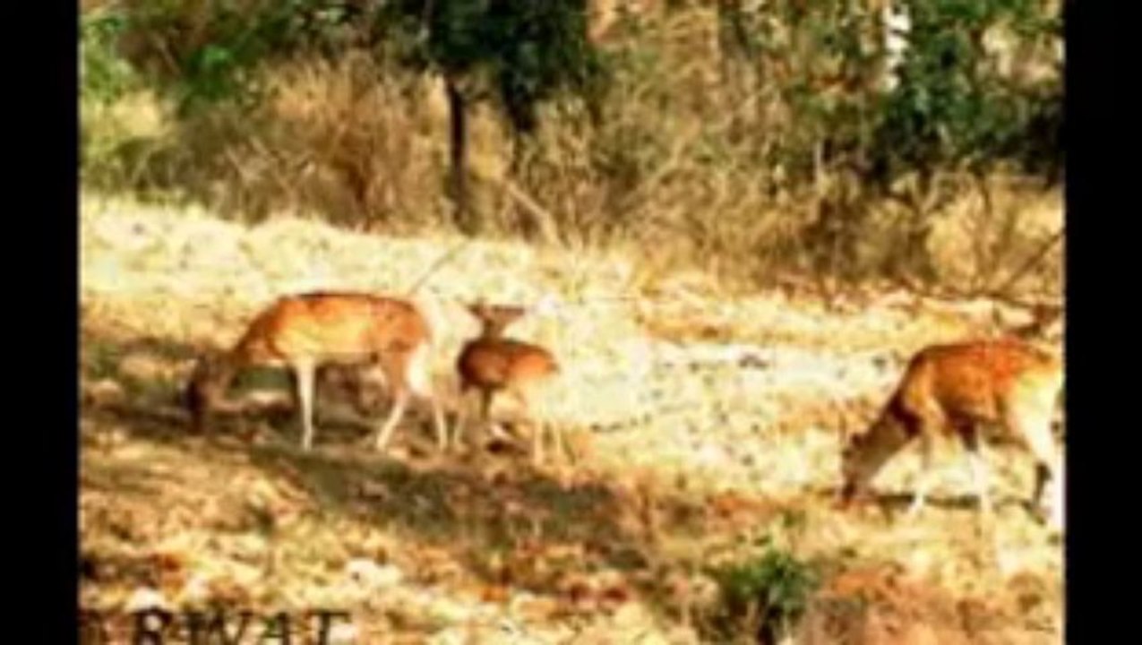 adventure sports in india, weekend getaways near delhi