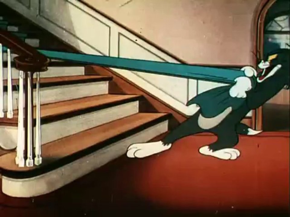 159_ShutterBuggedCat_1967