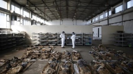 Holocaust survivor visits Bosnia's largest mass grave