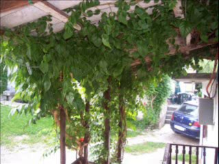 Branko Ćopić-Posljednji kalajdžija