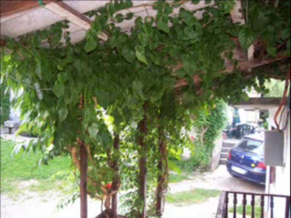 Branko Ćopić-Posljednji kalajdžija