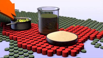 زراعة فول الصويا في العالم