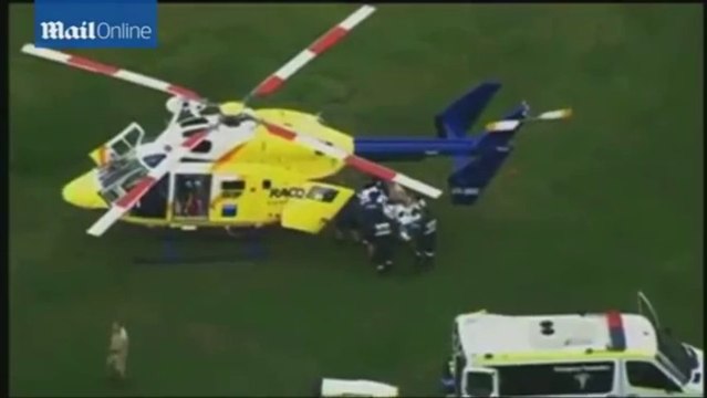 Moment tiger attacks trainer at Australian Zoo caught on cam