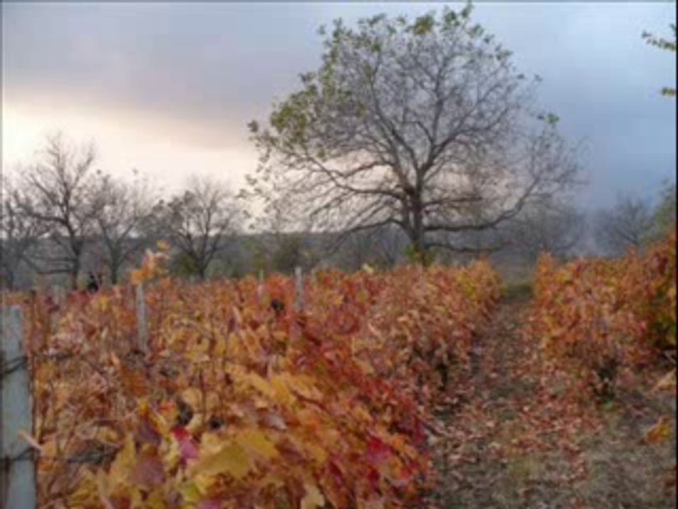 Branko Ćopić- Marijana