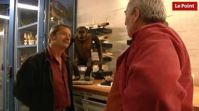 Les incroyables trésors de l'Histoire : le chimpanzé de Buffon