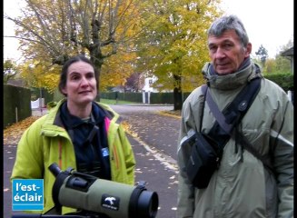 A la découverte des oiseaux des jardins avec la LPO