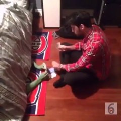 I'm friends with the monster that's under my bed