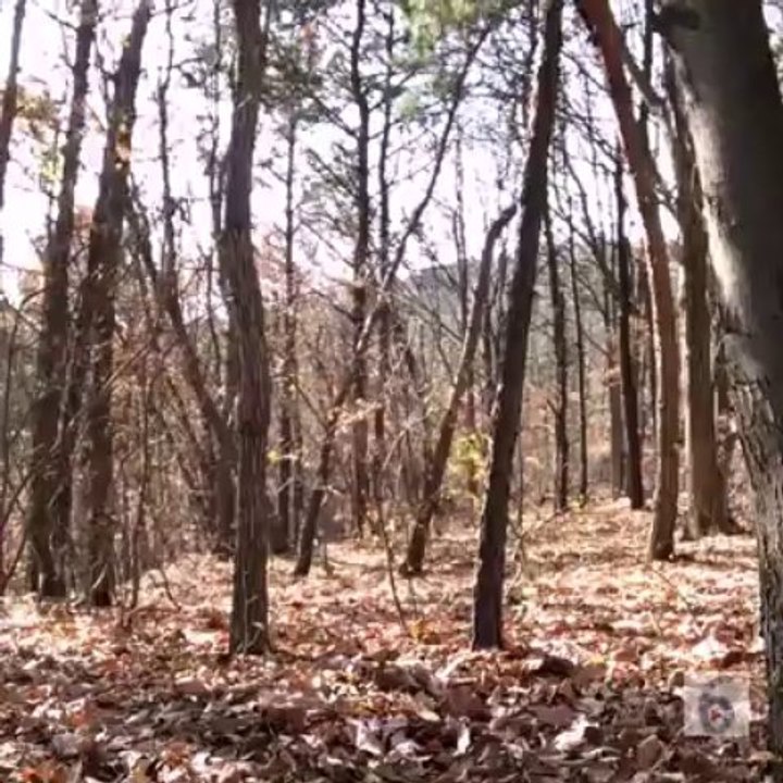 Unbelievable! Another Ghost Caught On Camera