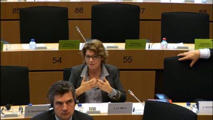 Agnès Le Brun- Débat sur le projet de rapport sélection végétale- 26/11/13