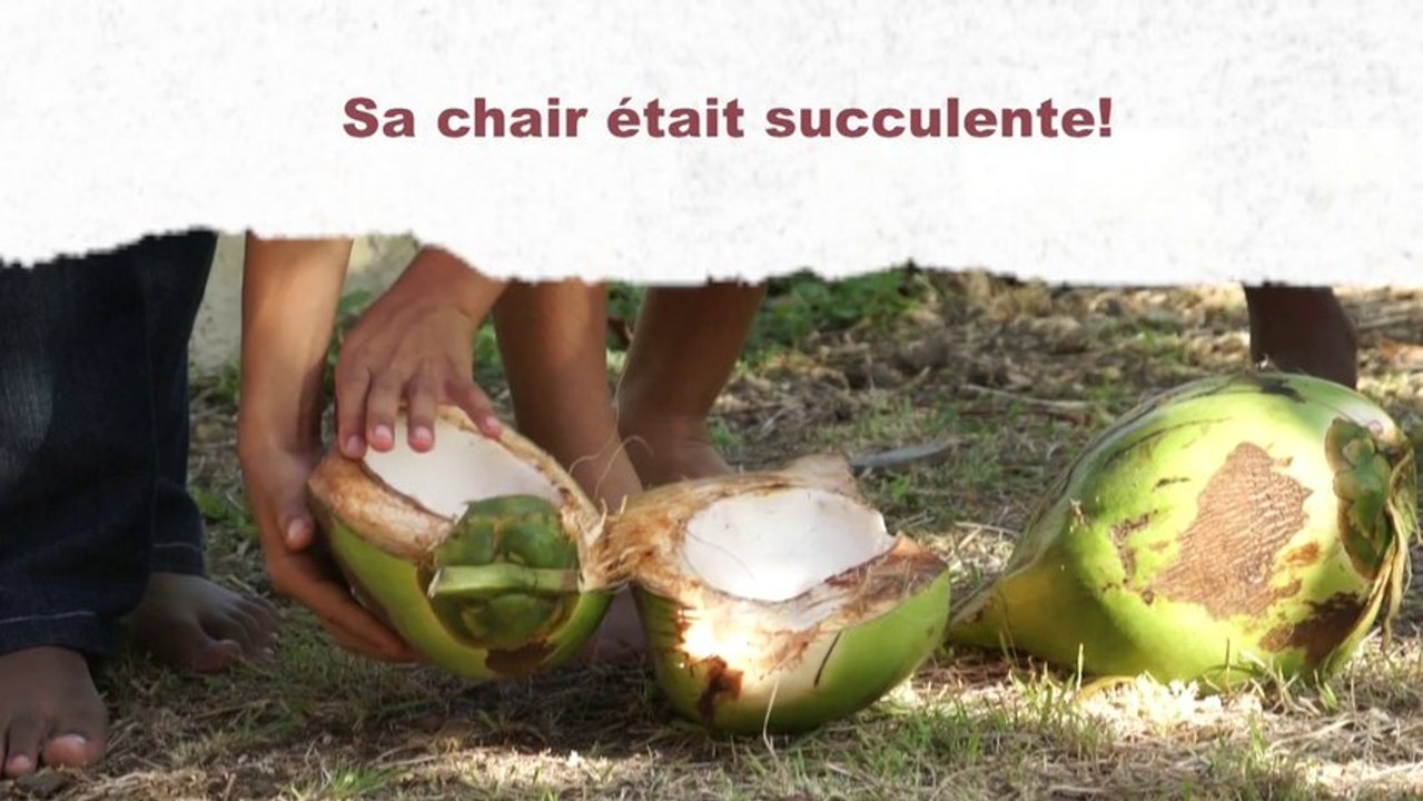 Premiers pas dans la nature «Jénérasyon 97 1» Film court CE2