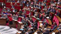 La réforme des retraites votée définitivement à l'assemblée