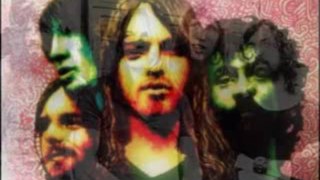 Pink Floyd - Coming Back To Life Animale Remix