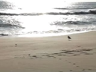 Sittin on a dock of the bay