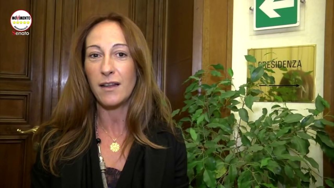 Vittoria a 5 Stelle: sara VOTO PALESE! - MoVimento 5 Stelle